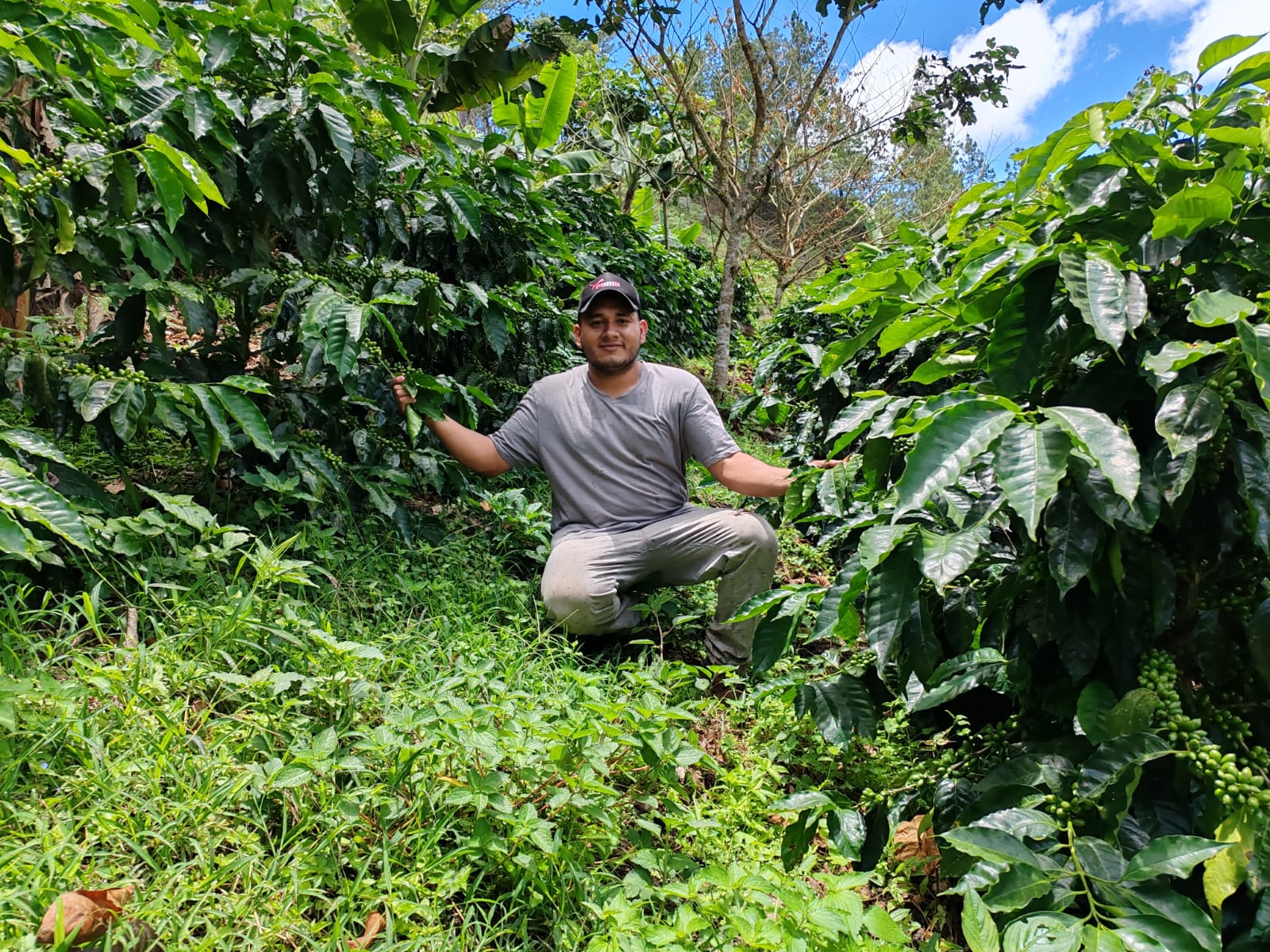 Danilo Sánchez Parainema, Los Cedros, El Paraíso, Honduras (250g)