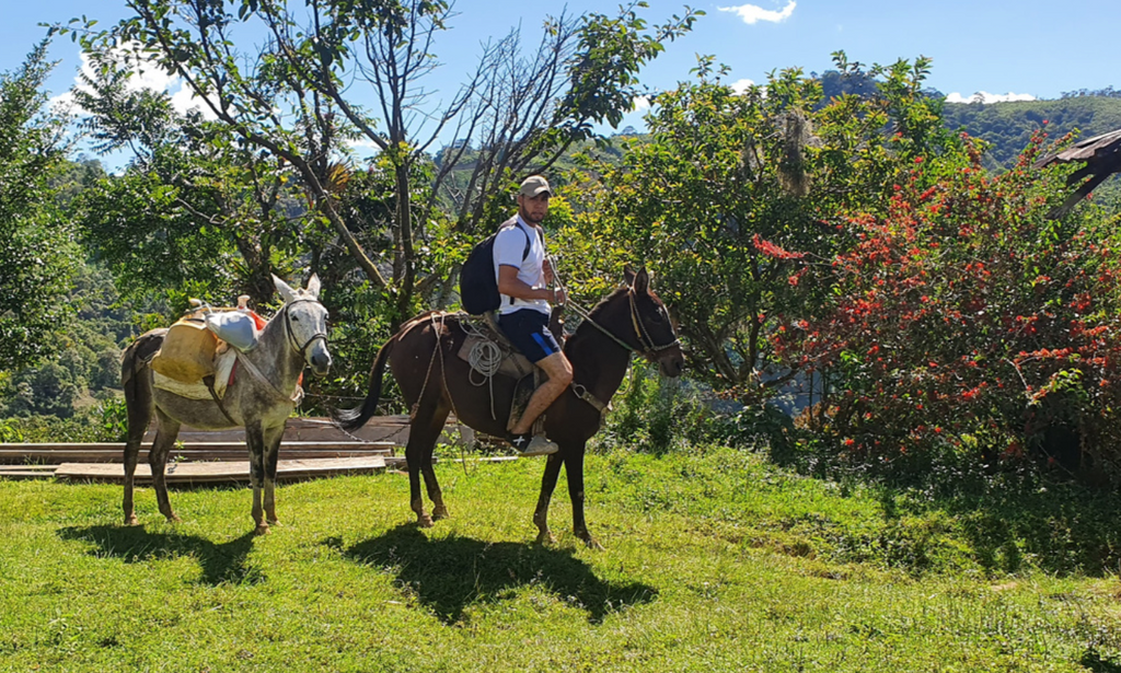 Yoan Arley Toledo Pink Bourbon, Suaza Microlot, Huila, Colombia (250g)