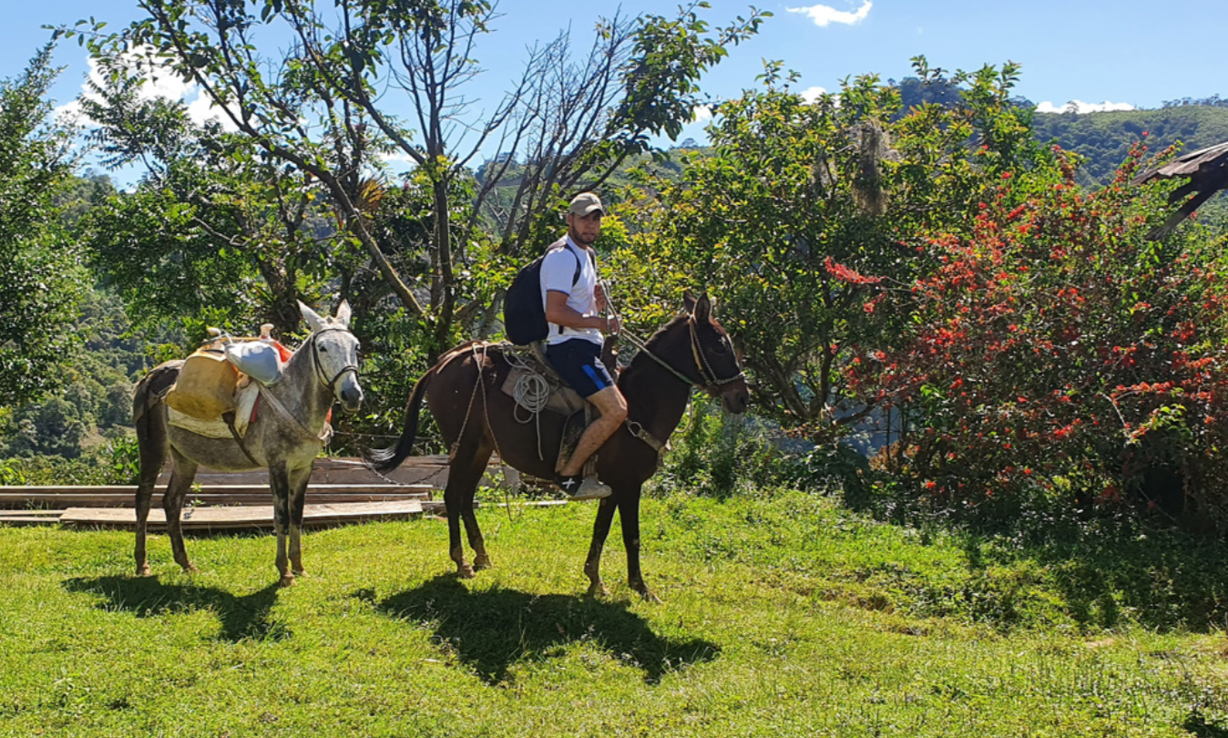 Yoan Arley Toledo Pink Bourbon, Suaza Microlot, Huila, Colombia (250g)