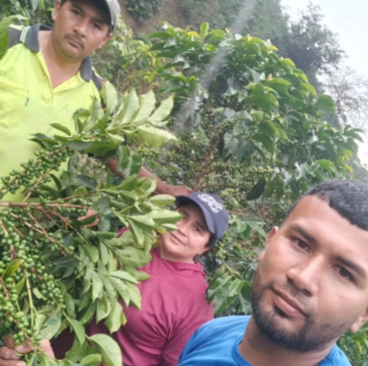 Edimer Ortega Pink Bourbon, Suaza Microlot, Huila, Colombia (250g)